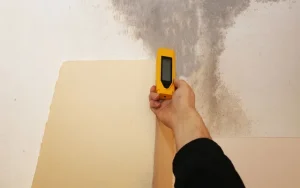 moisture meter checking if mold removal is necessary